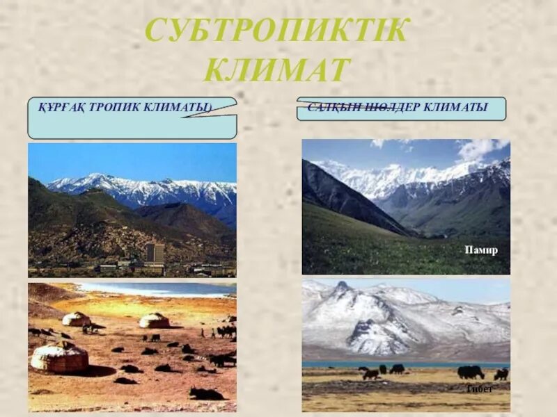 Черты субтропического климата
