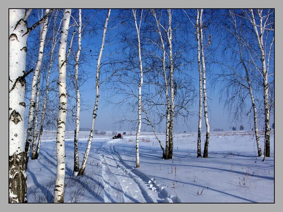 Была зима перед весною. Февраль природа. конец февраля. зима перед весной.