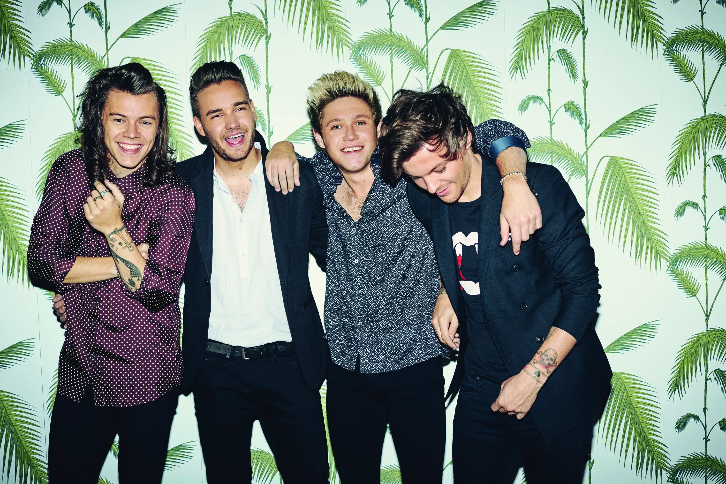 Ван дирекшн. Группа one Direction. Группа one Direction 2015. One Direction 2015 участники. Бойзбенд Каталина.