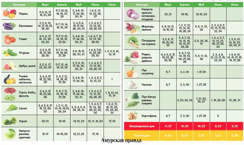 Пересадка томатов в апреле по лунному календарю. Календарь посадки рассады. Календарь посева овощей в открытом грунте. График посадки растений. Календарь посева семян в открытый грунт.