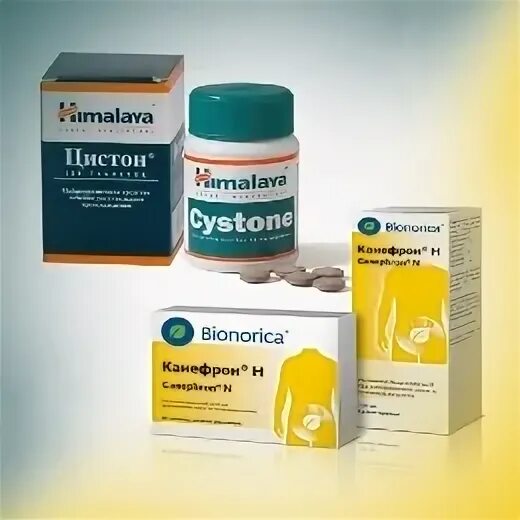 Что лучше цистон или канефрон при пиелонефрите. Противовоспалительный препарат цистон. таблетки для мочеполовой системы канефрон. аналог цистона. препарат для почек цистон.