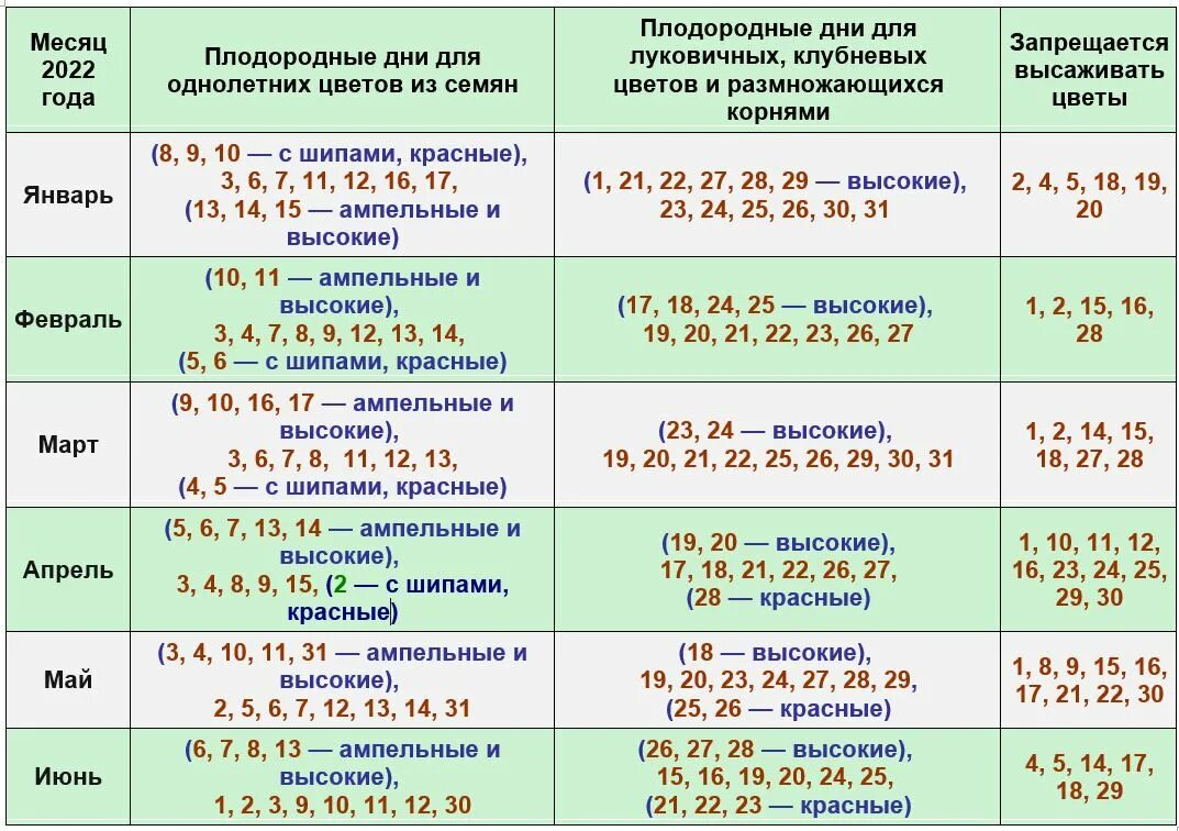 Пересадка комнатных растений в апреле 2024 благоприятные