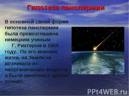 Порно минет әдемі