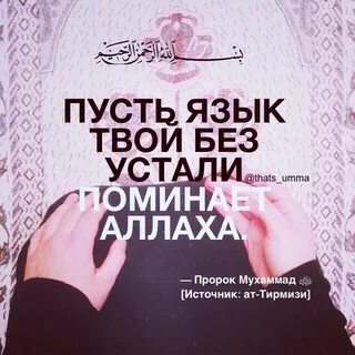 Пусть языке