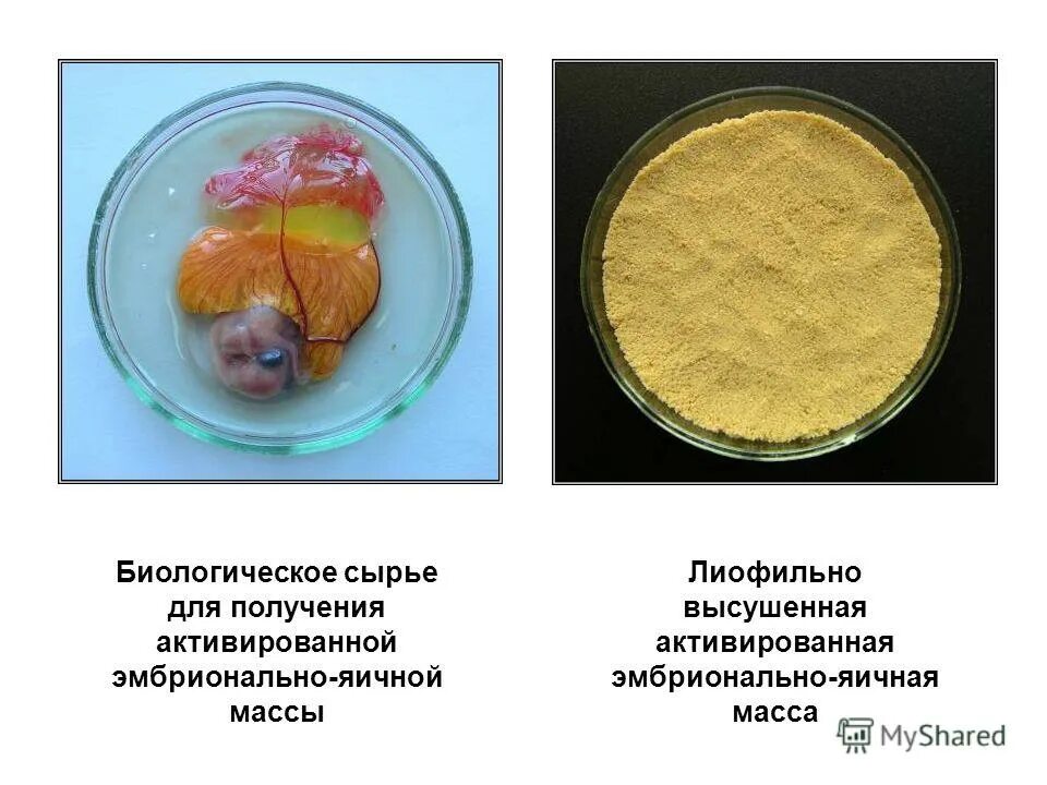 биотопливо второго поколения. биологическое сырье. экологическая биотехнология. виды биотоплива. биомасса в энергетике.