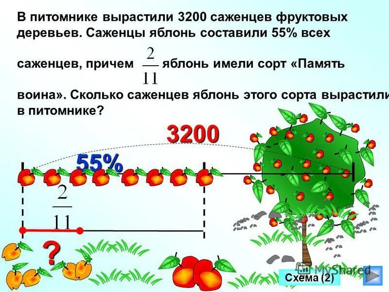 В питомнике вырастили 360 саженцев