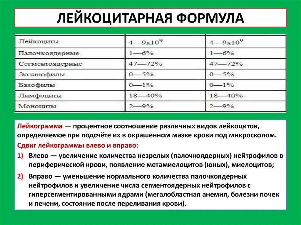 Определение количества лейкоцитов