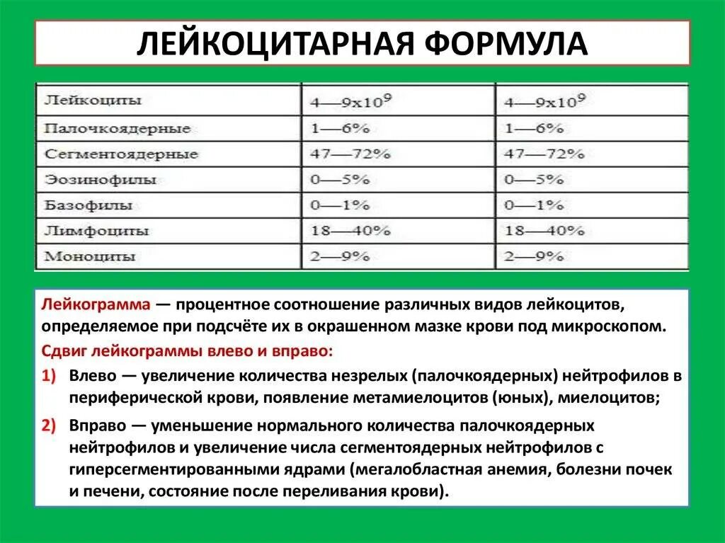 Лейкоциты в каком анализе. Анализ крови с лейкоцитарной формулой норма. Лейкоцитарная формула крови расшифровка показателей. Показатели лейкоцитарной формулы крови. Нормы абсолютных показателей лейкоцитарной формулы.