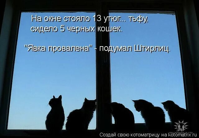 Цветок на окне явка провалена. Явка провалена подумал Штирлиц. Штирлиц явка провалена. Штирлиц явка провалена анекдот.