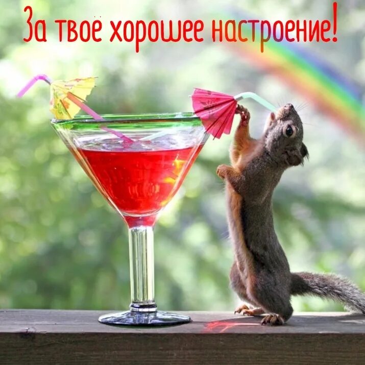 Что нибудь хорошее доброе