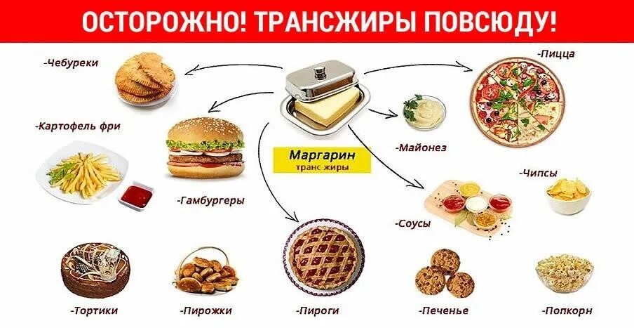 Трансжиры человек