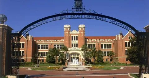 University of florida