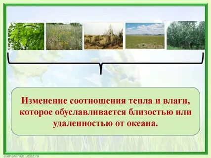 Соотношение тепла и влаги