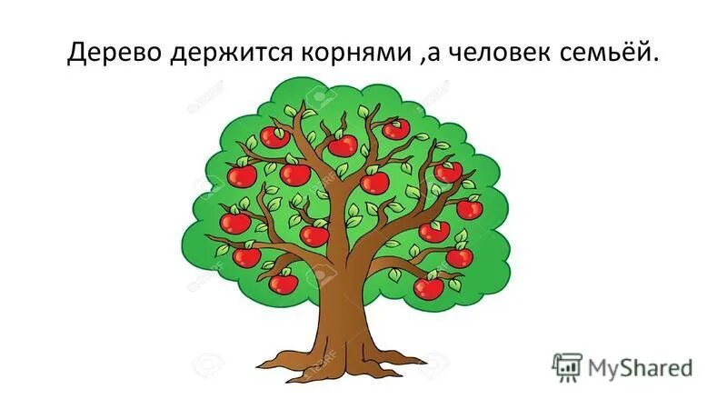 Пословица дерево живет. Дерево держится корнями а человек семьей. Пословица дерево держится корнями а человек семьей. Дерево держится корнями а человек друзьями. Дерево держится корнями.