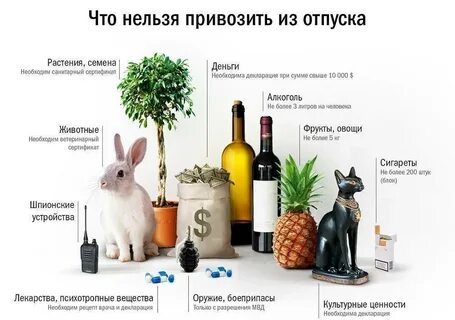 Какой фрукт нельзя с алкоголем
