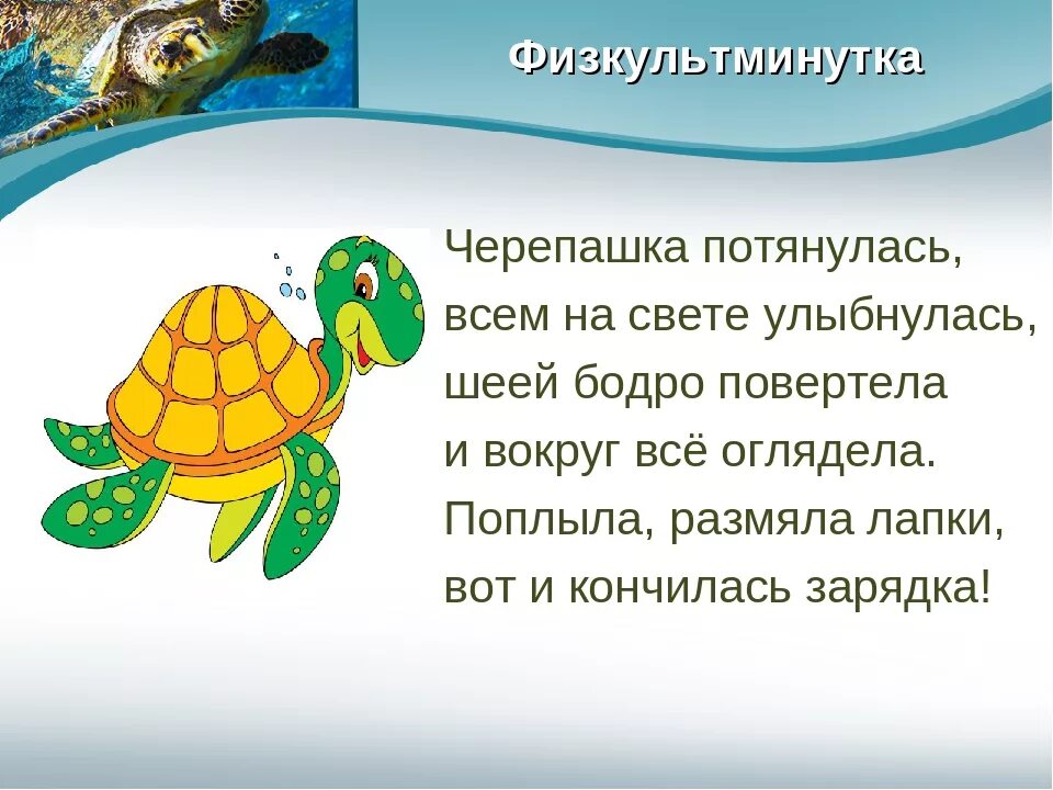 Физминутка черепаха для детей. Пальчиковая гимнастика черепаха для детей. Стих про черепаху для детей. Физминутки про черепаху. Стих про черепаху