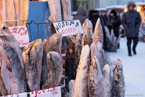 Где в якутске дешево