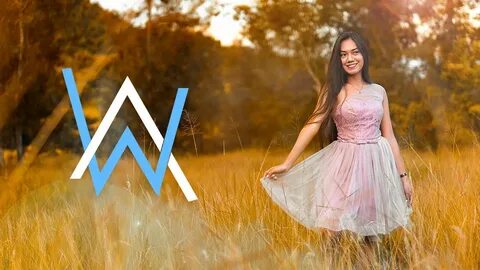 Alan walker style