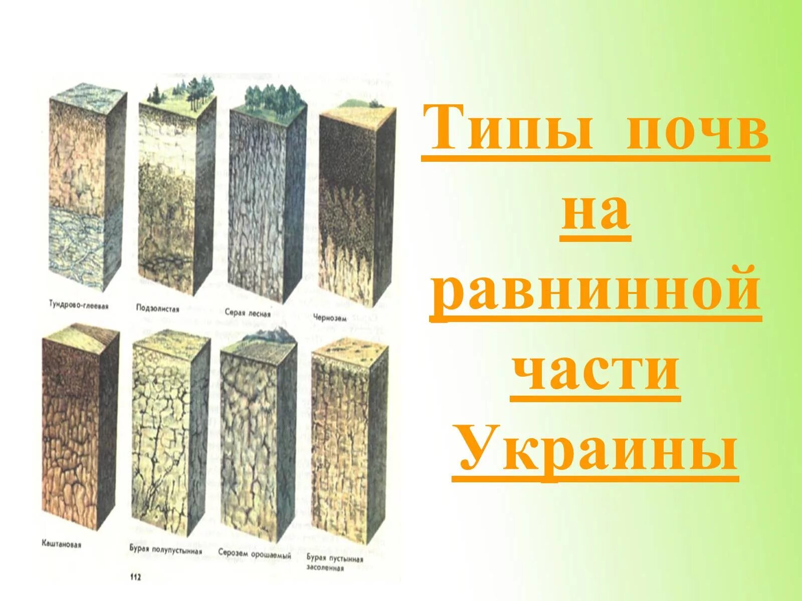 Виды почу. Виды почв. Основные типы почв. Тип почвы в Украине. Типы почв презентация.