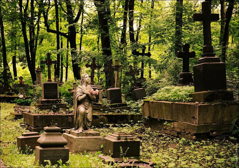 Смоленское православное кладбище васильевский остров. Волково кладбище санкт-петербург. Литераторские мостки. Смоленское кладбище санкт-петербург могилы. Самое известное кладбище петербурга.