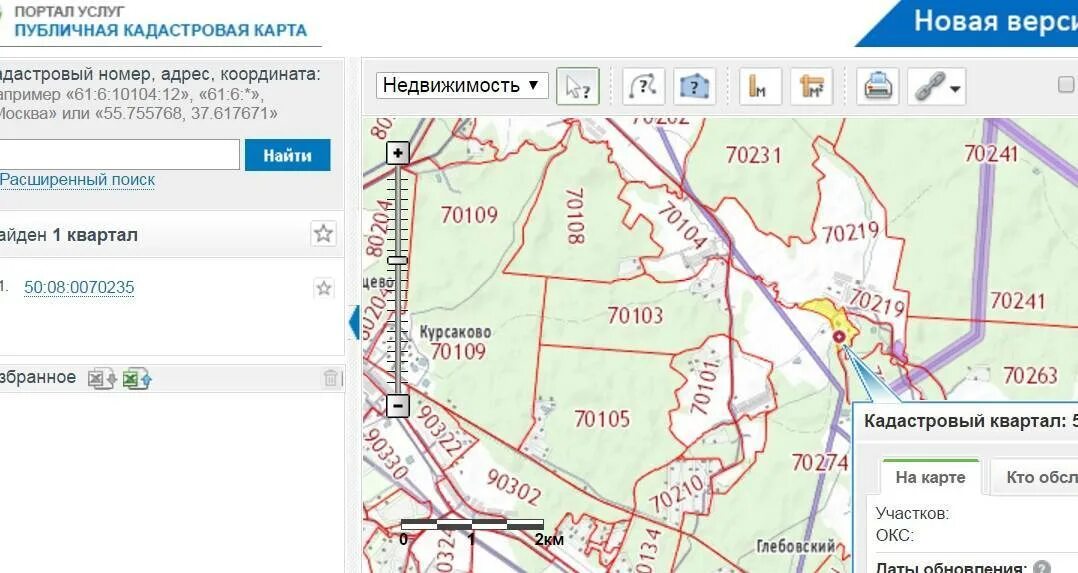 Как проверить через кадастровый. Публичная кадастровая карта в масштабе 1 10000. Кадастровый квартал на публичной кадастровой карте. Кадастровая карта квартиры. Кадастровая карта межевание.