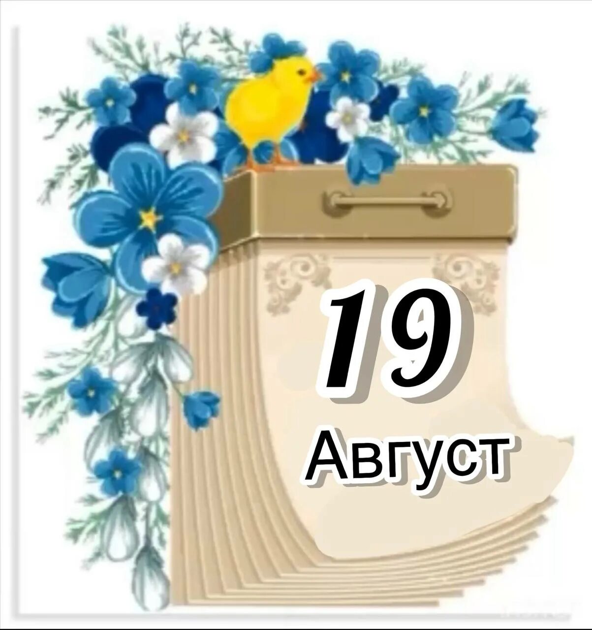 31 июля 1 августа. Лист календаря. Лист отрывного календаря. Лист календаря красивый. Лист с календаря с днем.