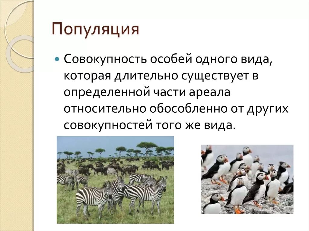 Вид в природе занимает определенный ареал. Популяция это. Виды популяций. Популяция это в биологии.