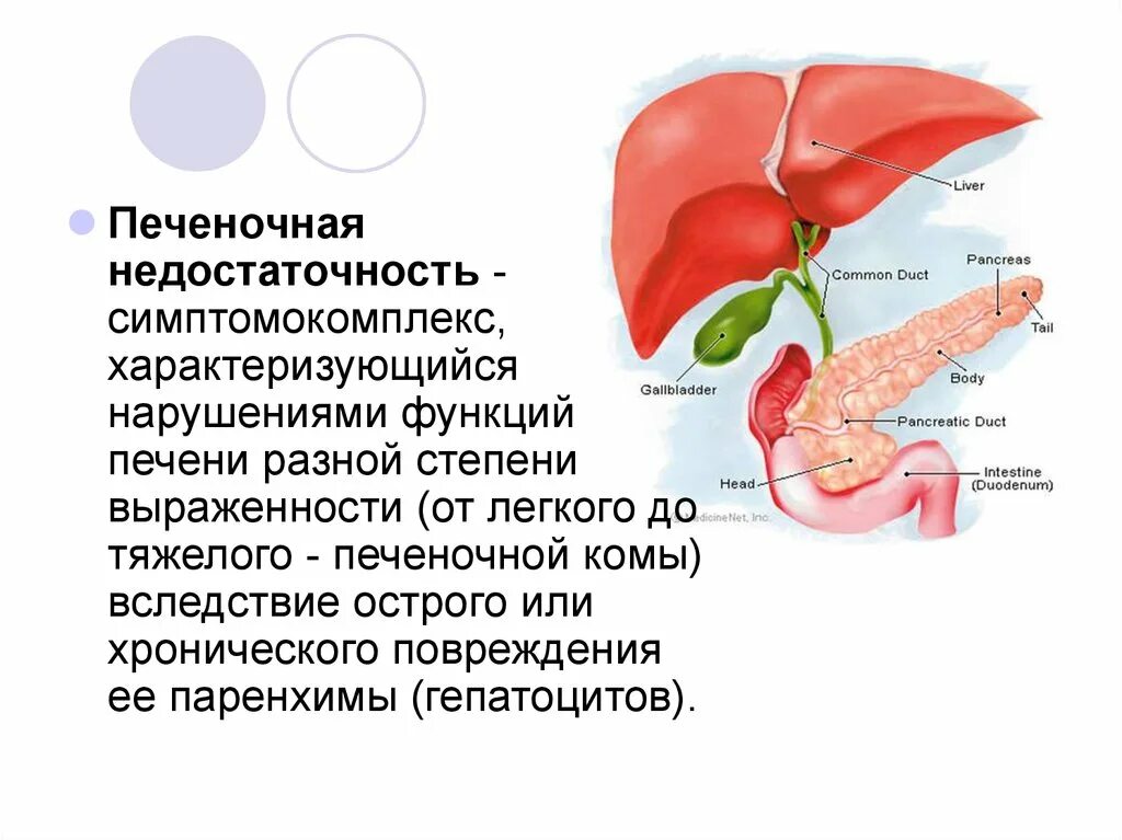 Недостаточность функции печени. Острая и хроническая печеночная недостаточность. Печеночная недостаточность характеризуется. Кардиальная печеночная недостаточность. Печень в 1 месяц