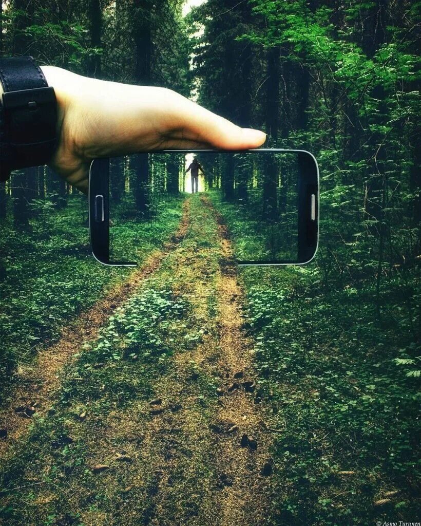 Прямо на экран телефона. Креативные фотосессии на природе. Фотограф в лесу. Природа на смартфон. Фотографирует природу.