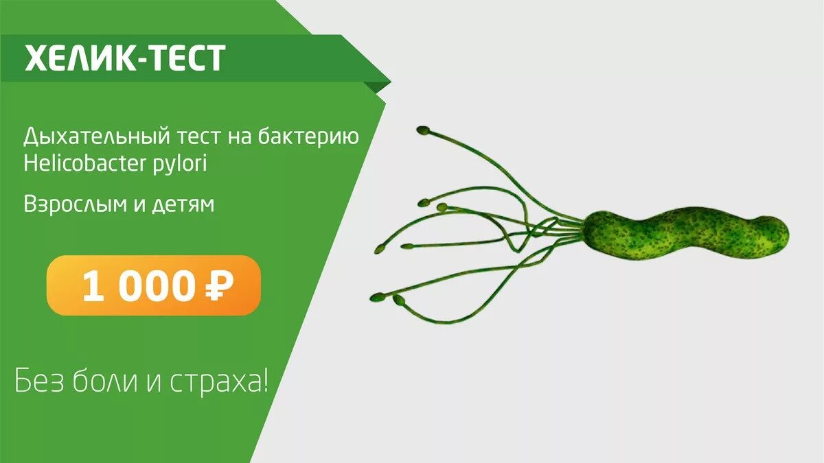 Хеликобактер сдать уреазный тест. Хелик тест дыхательный. Helicobacter pylori дыхательный тест. Уреазный тест на хеликобактер. Уреазный дыхательный тест на Helicobacter pylori.