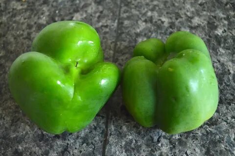 Green bell