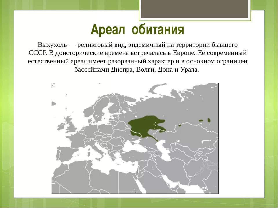 Распространение животных примеры