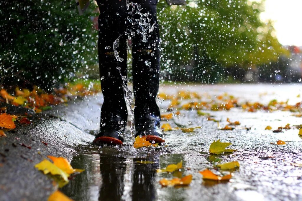 Шагаю по лужам. Осенний дождь. Дождь осенью. Осень под дождем. Осенняя грусть.