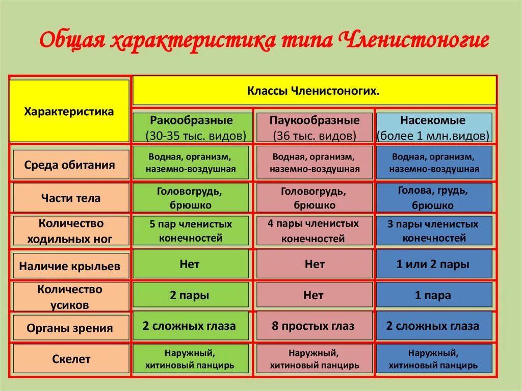 Назовите основные отличительные. Общая характеристика членистоногих 7 класс биология кратко. Характеристика типа членистоногих таблица. Таблица про членистоногих по биологии 7 класс. Общая характеристика типа Членистоногие 7 класс биология таблица.