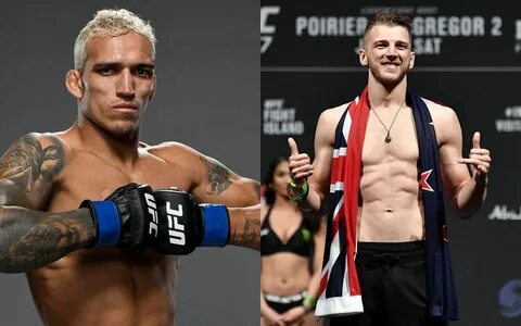 Чемпионы ufc 2023