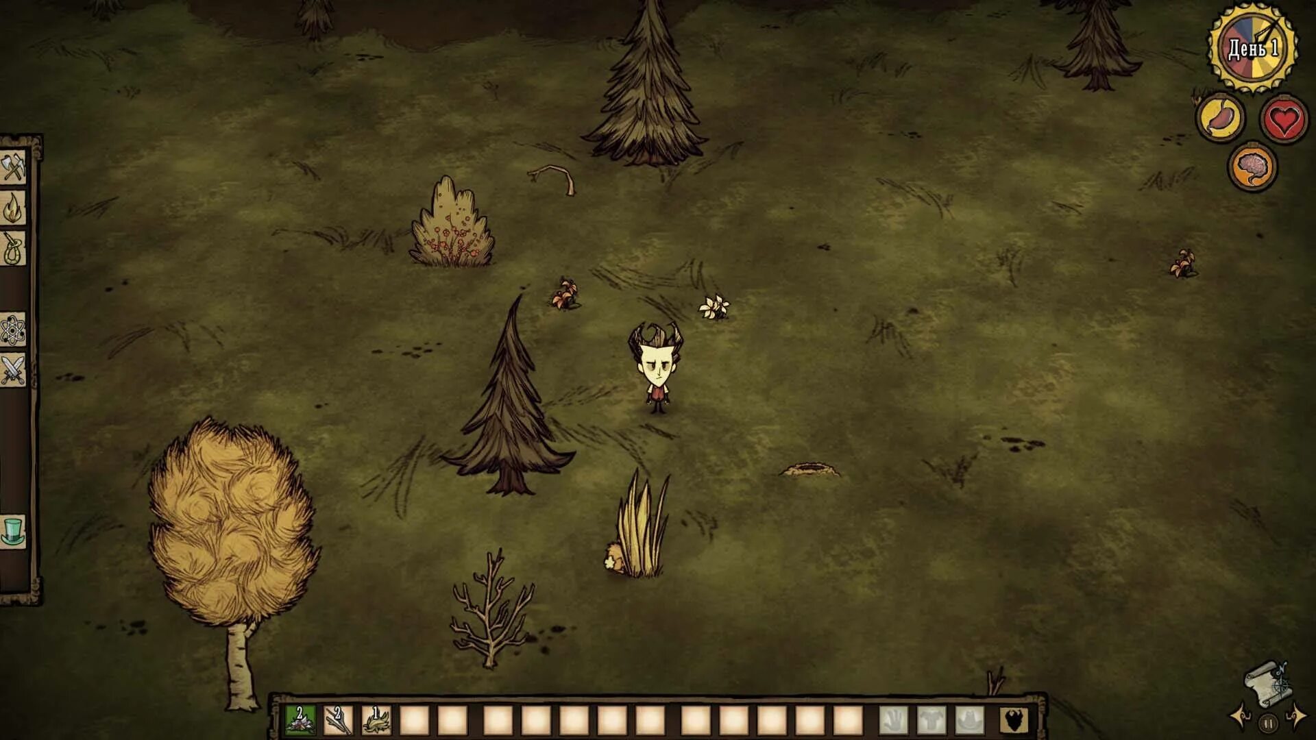 Dont download. Don t Starve игра. Игра донт старв тугезер. Донт старв мир. Don't Starve together лес.