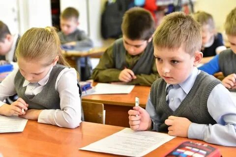 Что такое тест в школе