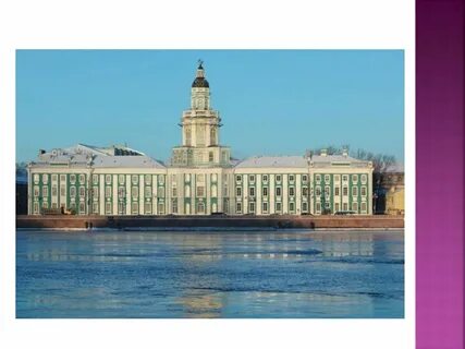 Первый русский музей был открыт в году