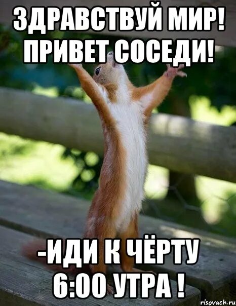 Котики с надписями. Здравствуй есть кто нибудь. Куда все пропали картинки. Тут кто-нибудь есть. Есть тут кто картинки.