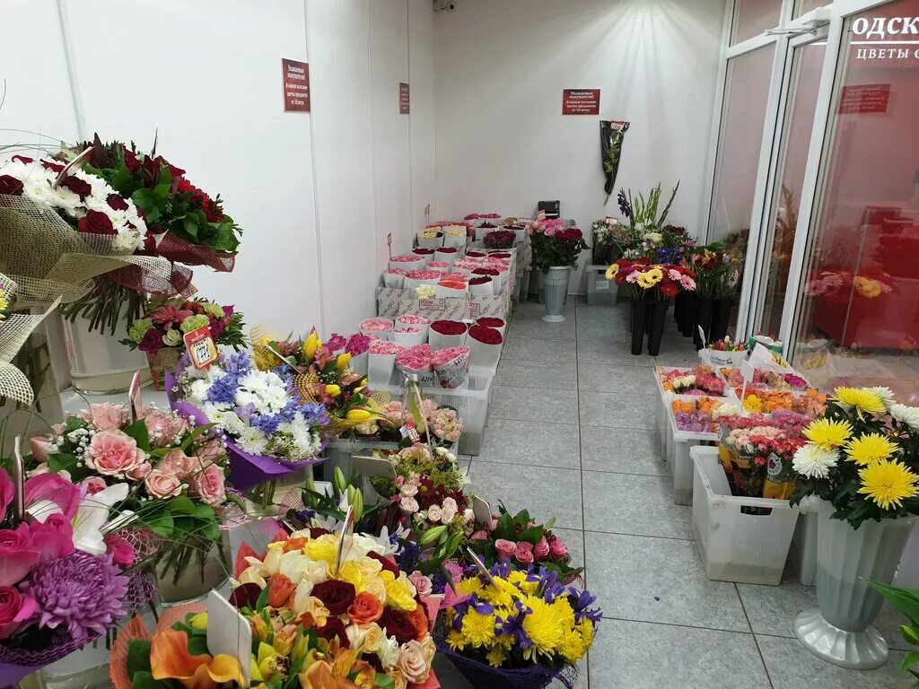 цветы лобня