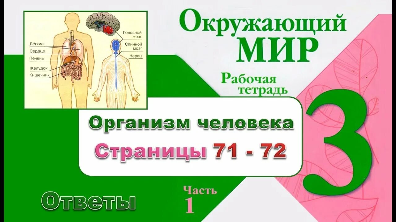 Организм человека 3 класс окружающий мир. Организм человека 3 класс рабочая тетрадь. Организм человека 3 класс окружающий мир рабочая тетрадь. Тетрадка органов человека.