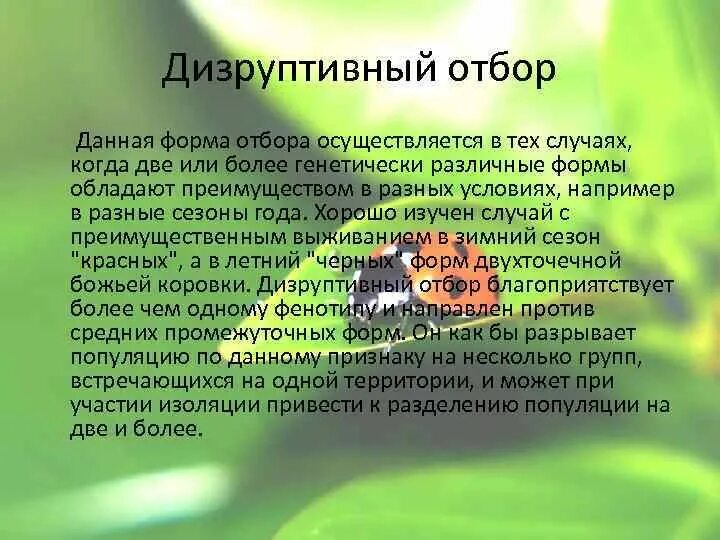 Презентация "Эволюционная теория Ч. Дарвина. Доказательства эволюции.