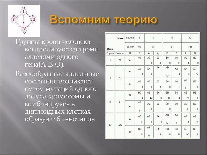 Решение задач на группы крови. Группа крови контролируется тремя аллелями. Задачи на группы крови генетика. Группа крови контролируется 3 аллелями 1 Гена. Группа крови у человека задачи.