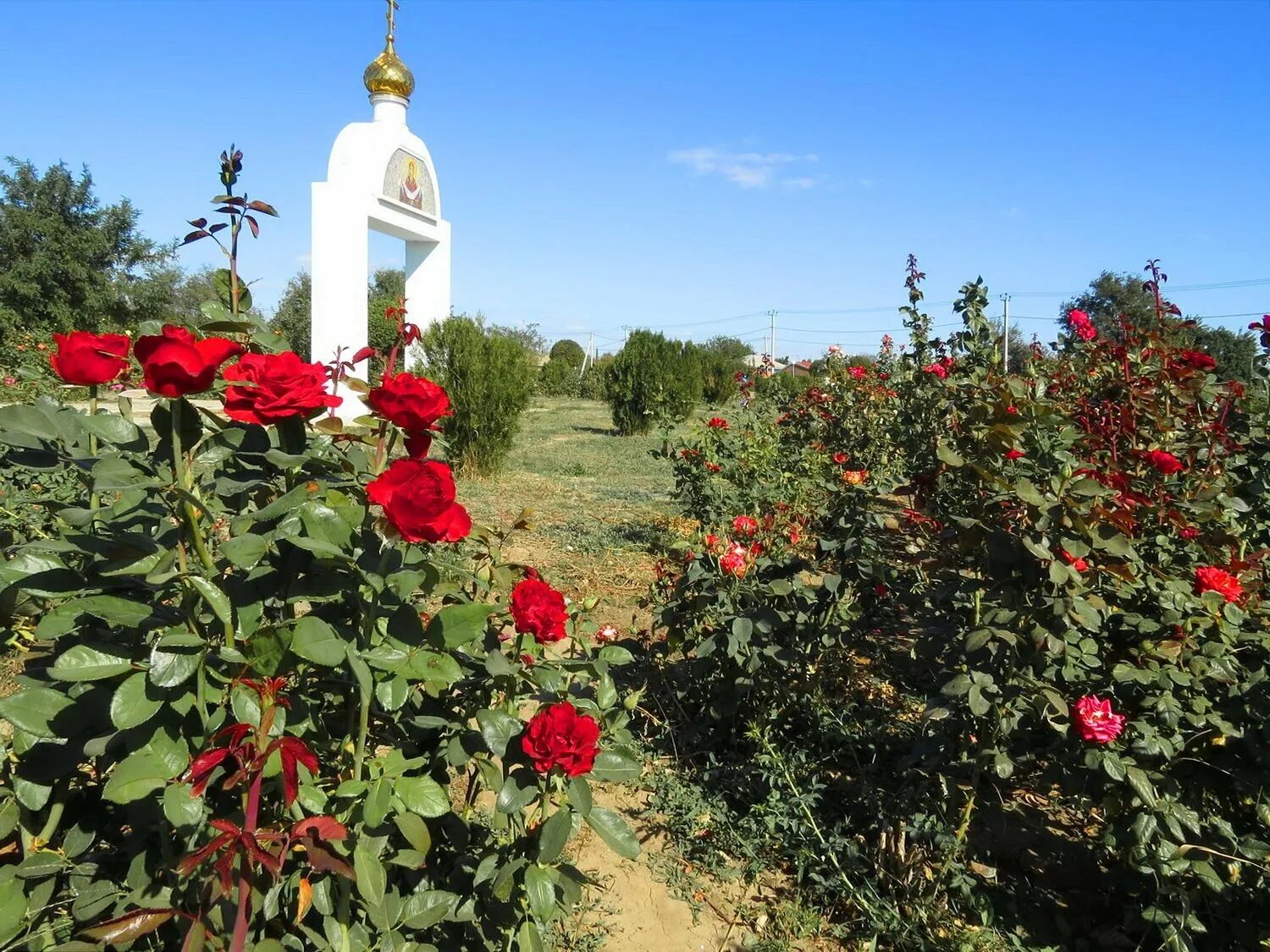 Зимовники фото. Поселок Зимовники Зимовниковский район Ростовская область. Парк Зимовники. Посёлок Зимовники Кучманский парк. Ростовская обл р-н Зимовниковский п Зимовники.