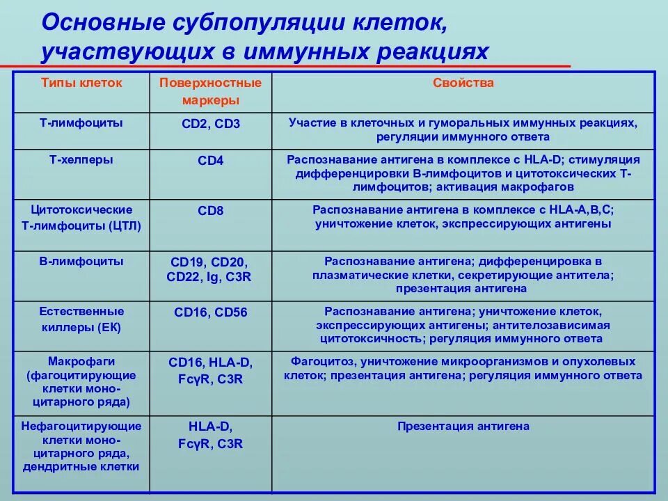 В реакциях иммунного ответа участвуют. Маркеры клеток иммунной системы таблица. Функции клеток принимающих участие в иммунном ответе. Клетки участвующие в иммунном ответе и их функции. Основные клетки иммунной системы таблица.