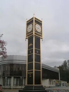 Колтуши сайты