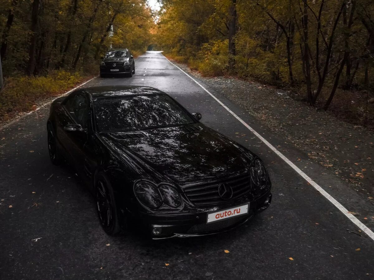 Mercedes benz sl 63 amg седан. Мерен или мерин. Северный мерен. Mercedes benz cl 63 amg 2022. Мерен или мерин.
