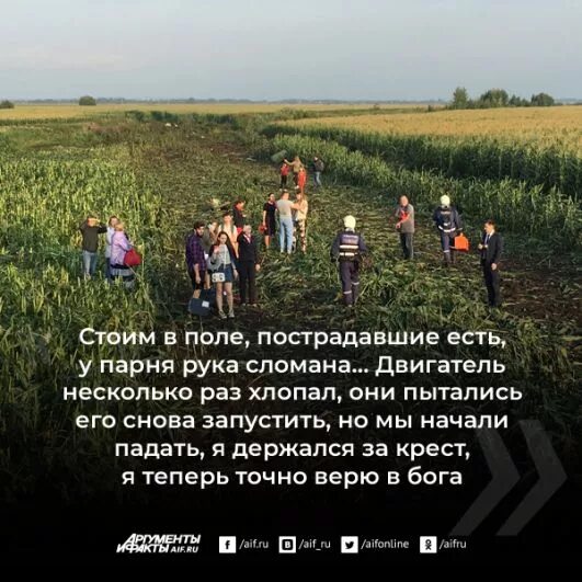 Правее на солнце вдоль. Идём на солнце вдоль рядов кукурузы. Идём правее на солнце вдоль рядов кукурузы. На солнце вдоль рядов кукурузы. Подвиг идем правее на солнце вдоль рядов кукурузы.
