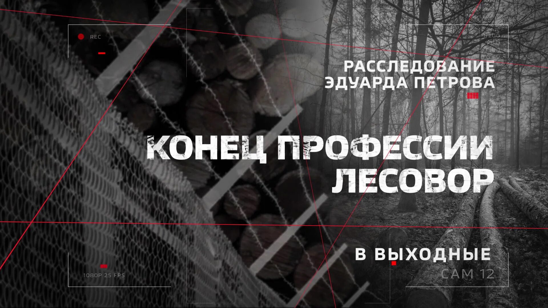 Честный детектив с эдуардом петровым последний. Расследование Эдуарда Петрова 2022. Расследование Эдуарда Петрова последний. Расследование Эдуарда Петрова профессия лесовор 3. Расследование Эдуарда Петрова 2023.