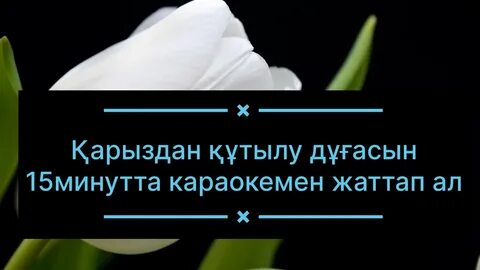 Әйелдер дәретханасын қарау